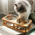 Load image into Gallery viewer, Elevated Glass cat bowl
