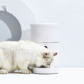 Load image into Gallery viewer, App-Controlled Smart cat Food Dispenser with HD Wide Angle Camera
