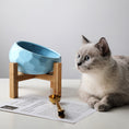 Load image into Gallery viewer, Elevated cat bowl
