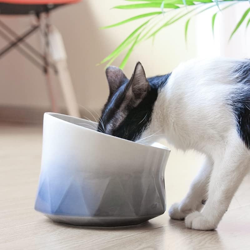 Ceramic Cat Elevated Bowl