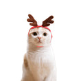 Load image into Gallery viewer, Cat Christmas Cloak
