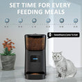 Load image into Gallery viewer, App-Controlled Smart cat Feeder
