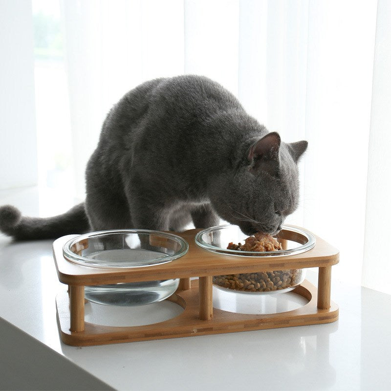 Elevated Glass cat bowl