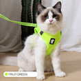 Load image into Gallery viewer, Anti-strike cat traction cat harness
