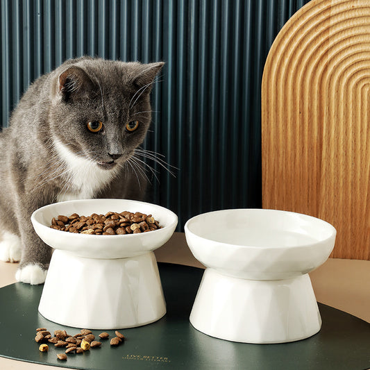 Posture Pro Cat Bowl | Slow Feeder